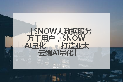 SNOW大数据服务万千用户，SNOW AI量化——打造亚太云端AI量化